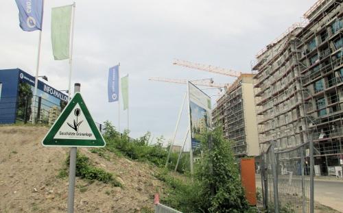 Berlin Gentrifizierung geschützte Grünanlage was kümmert es
